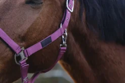 EQUITHEME Spring Nylonhalfter