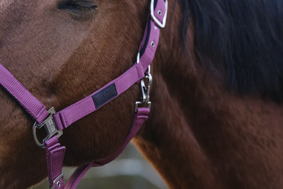 EQUITHEME Spring Nylonhalfter