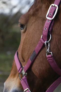 EQUITHEME Spring Nylonhalfter
