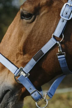 EQUITHEME Spring Nylonhalfter