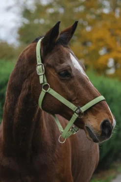 EQUITHEME Spring Nylonhalfter