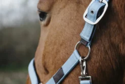 EQUITHEME Spring Nylonhalfter