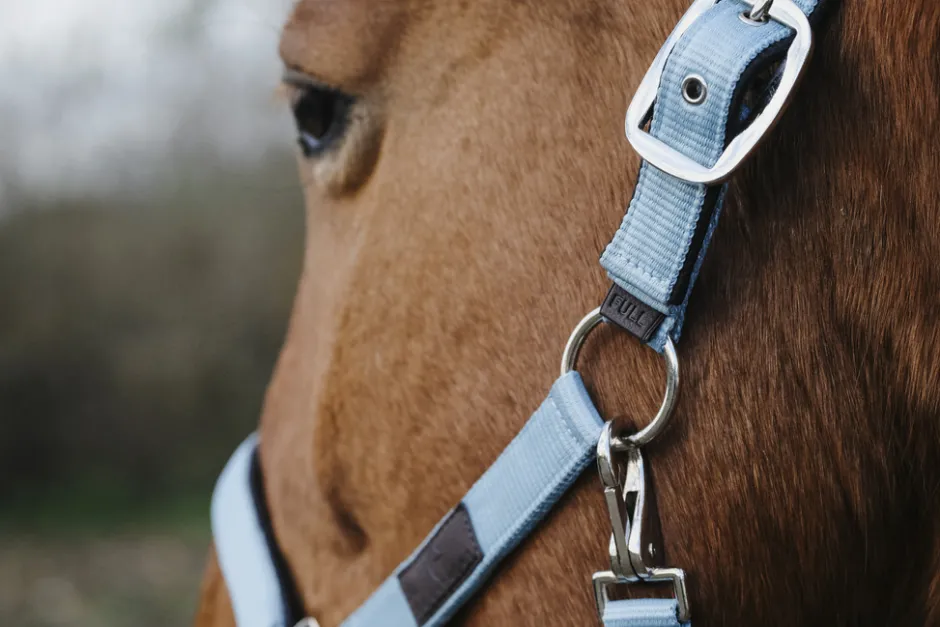 EQUITHEME Spring Nylonhalfter