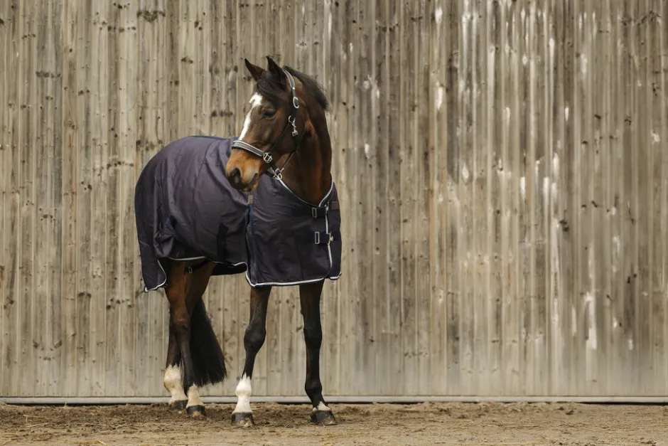 EQUITHEME Vague Decke