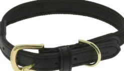 EQUITHÈME - Nala - Hundehalsband