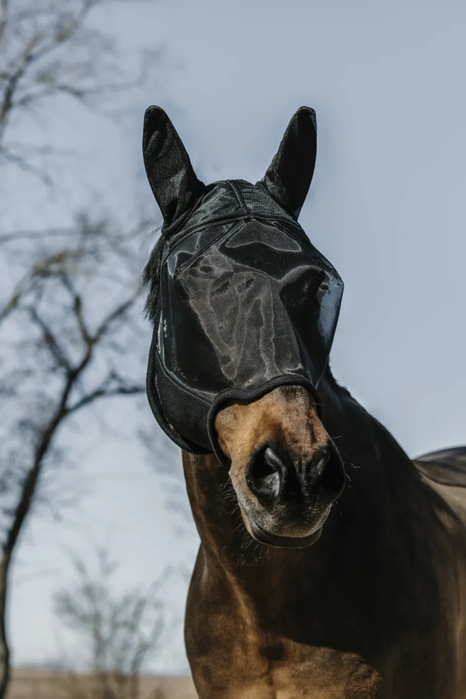 EQUITHÈME - Anatomic - Fliegen-/UV-Maske