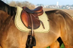 EQUITHÈME Chevron Schabrake