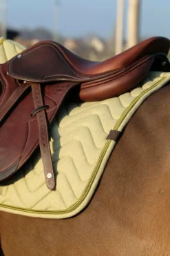 EQUITHÈME Chevron Schabrake