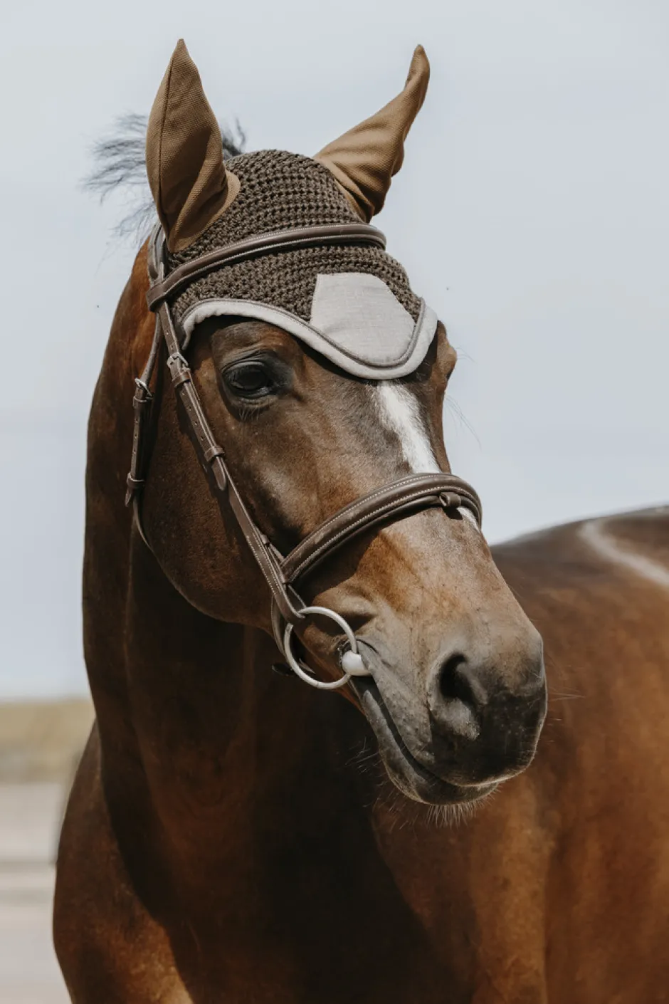 EQUITHÈME - Chic - Fliegenhaube
