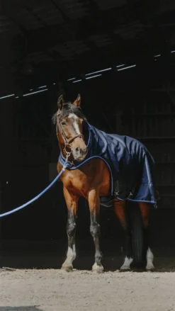 EQUITHÈME Classic 1200D Führmaschinendecke