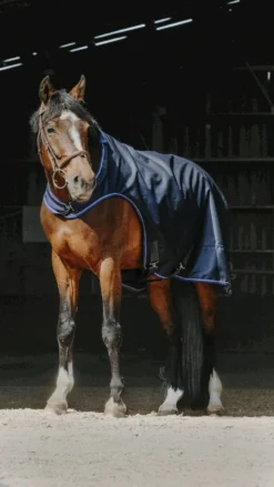 EQUITHÈME Classic 1200D Führmaschinendecke