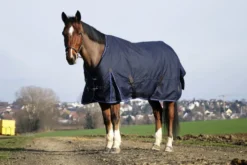 EQUITHÈME Classic 1200D Outdoor Decke