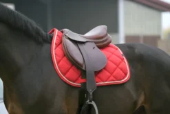 EQUITHÈME Classic Schabracke