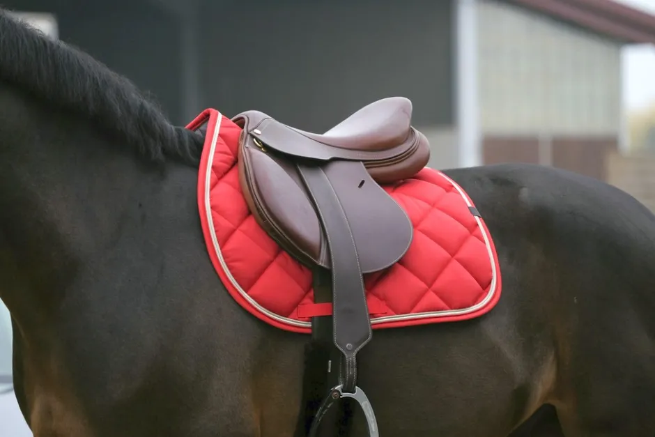 EQUITHÈME Classic Schabracke