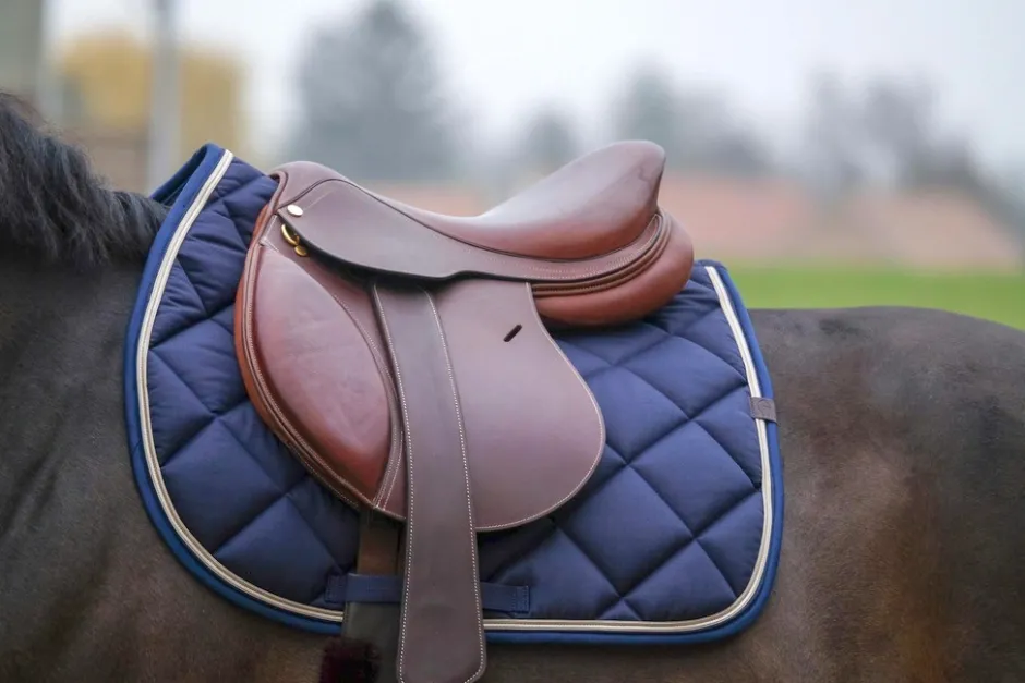 EQUITHÈME Classic Schabracke