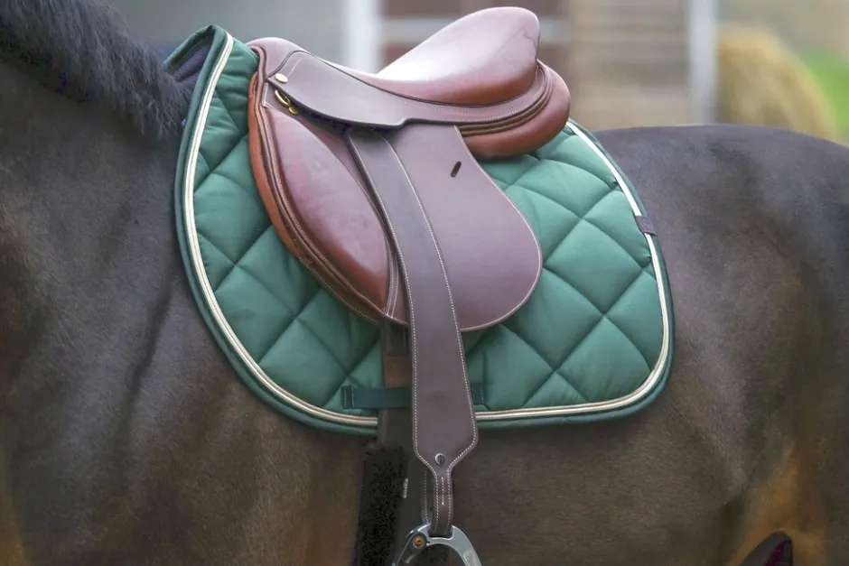 EQUITHÈME Classic Schabracke