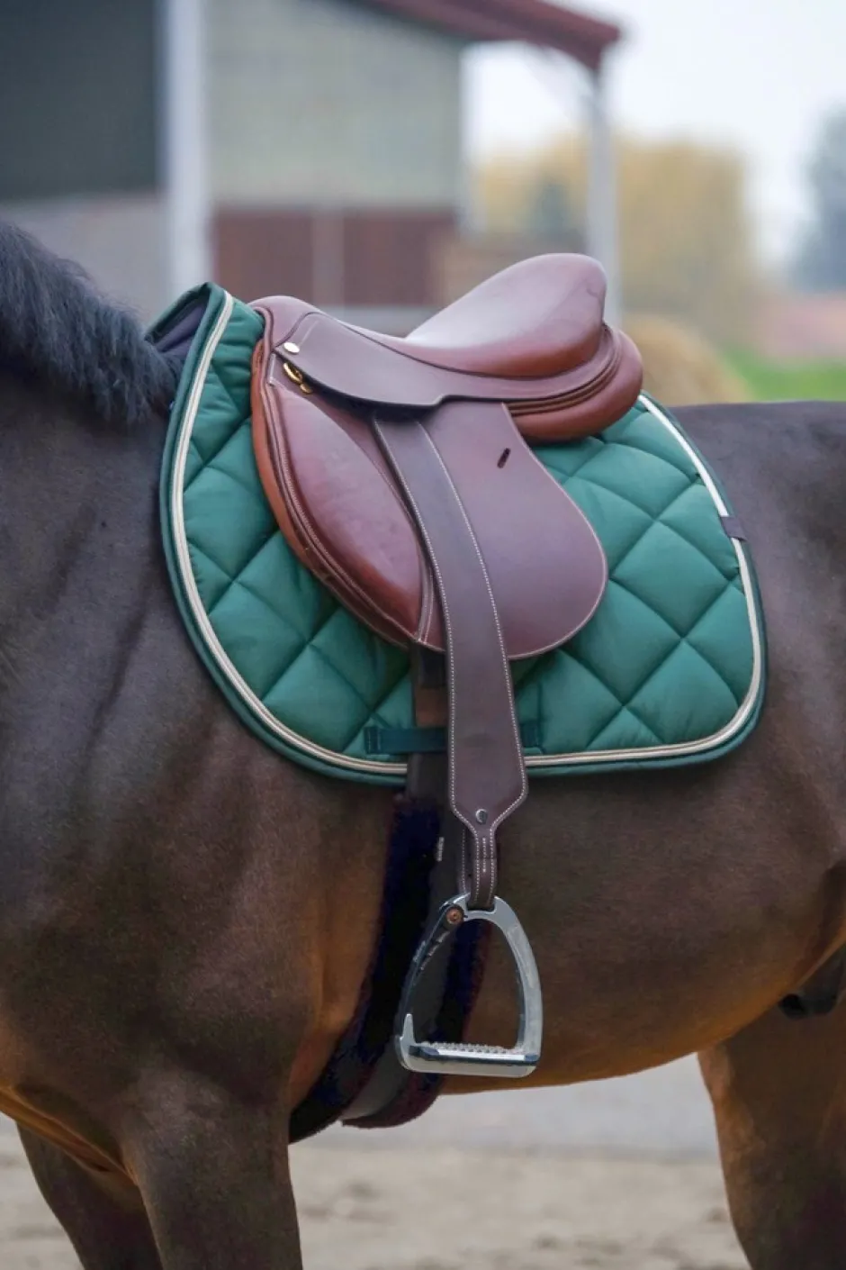 EQUITHÈME Classic Schabracke