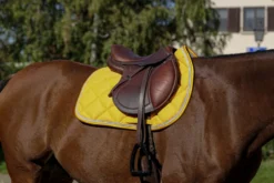 EQUITHÈME Classic Schabracke