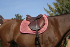 EQUITHÈME Classic Schabracke