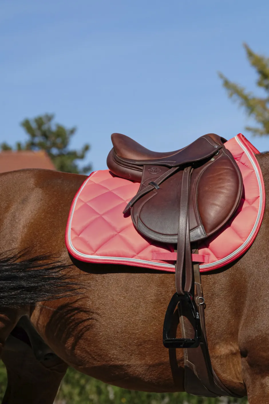 EQUITHÈME Classic Schabracke