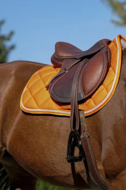 EQUITHÈME Classic Schabracke