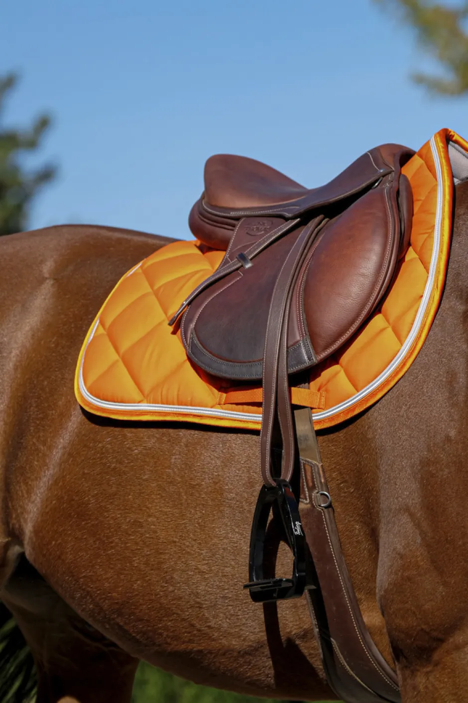 EQUITHÈME Classic Schabracke