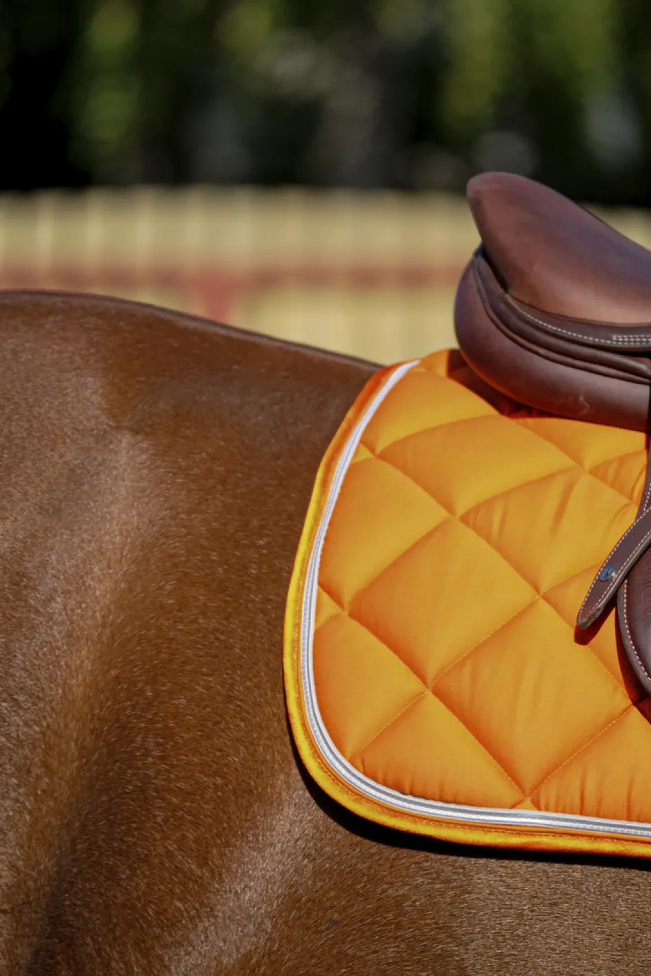 EQUITHÈME Classic Schabracke