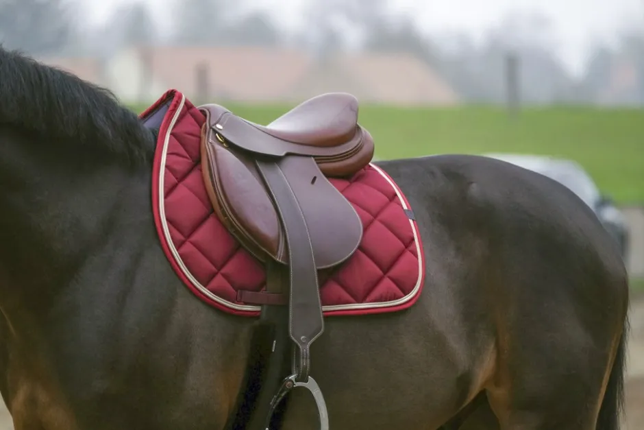 EQUITHÈME Classic Schabracke