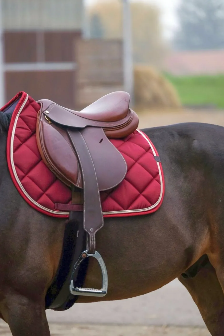 EQUITHÈME Classic Schabracke