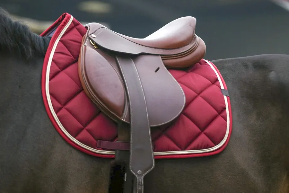 EQUITHÈME Classic Schabracke