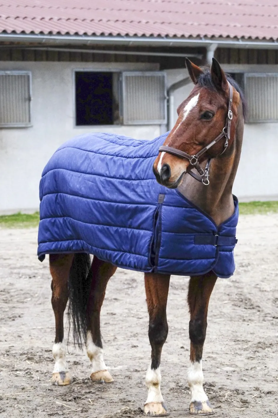 EQUITHÈME Classic Unterdecke