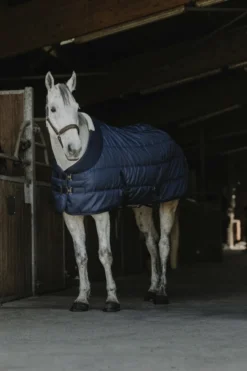 EQUITHÈME - Confortech - Stalldecke