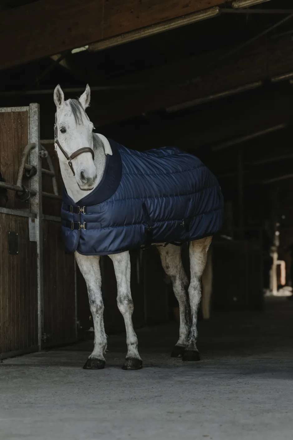 EQUITHÈME - Confortech - Stalldecke