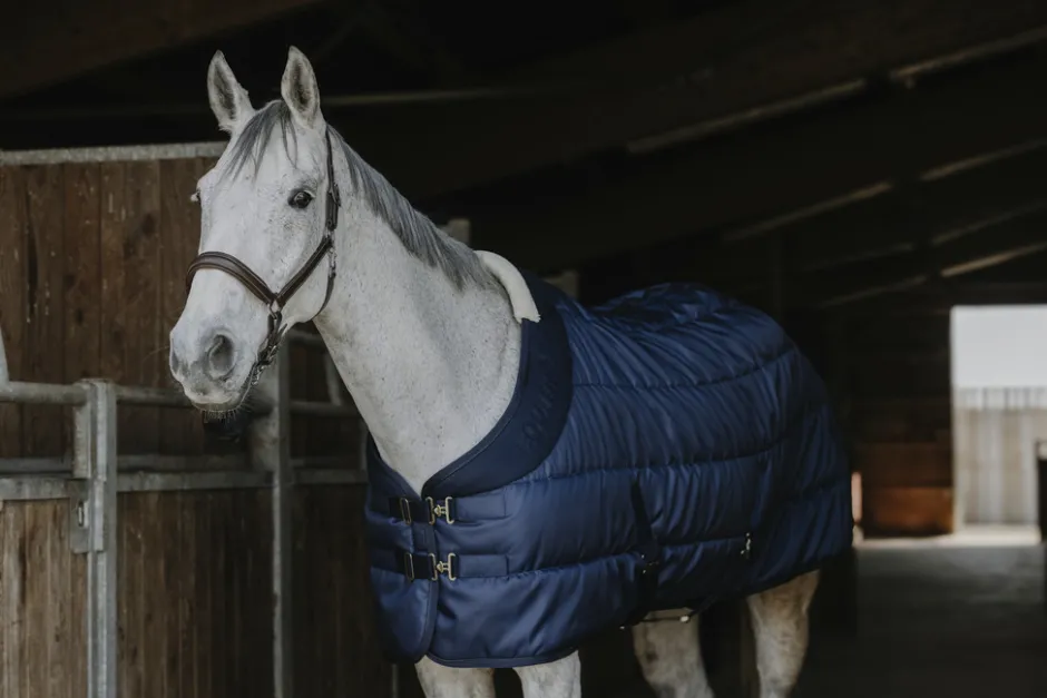 EQUITHÈME - Confortech - Stalldecke