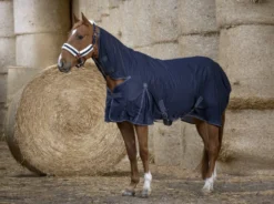 EQUITHÈME „Cool Dry“ Combo Sommerdecke