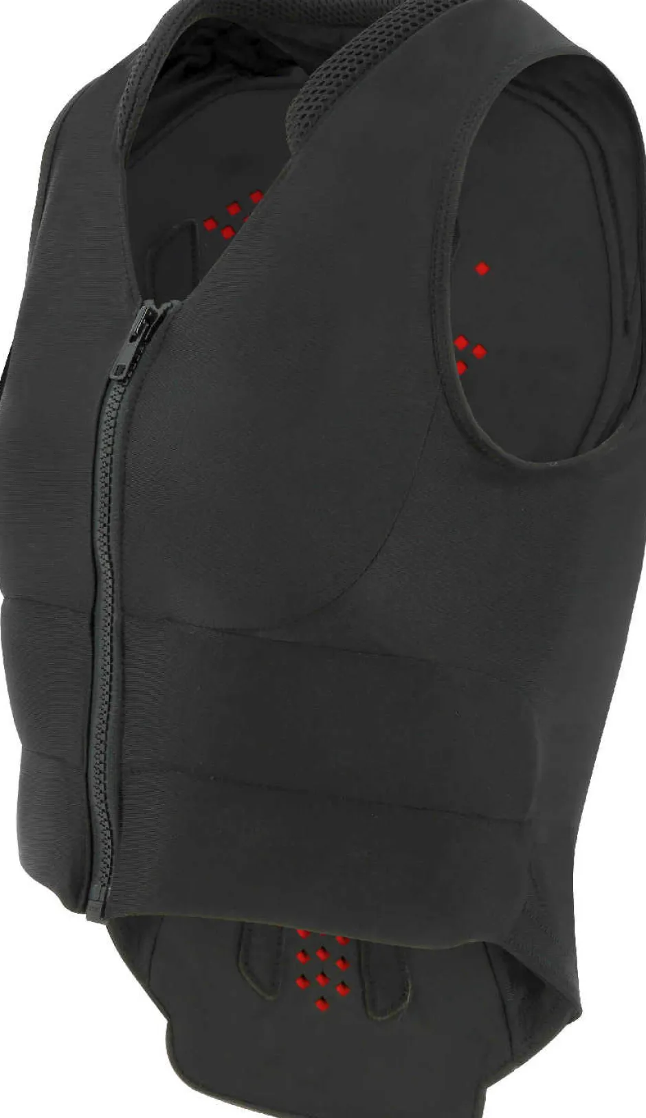 EQUITHÈME Cox Rückenprotektor