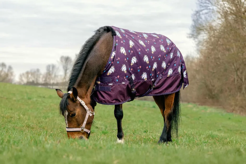 EQUITHÈME Decke - Einhorn 600D, 0 g