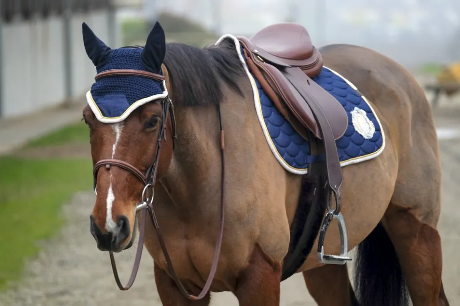 EQUITHÈME Denim Fliegenohrehauben