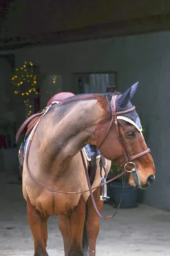 EQUITHÈME Denim Fliegenohrehauben