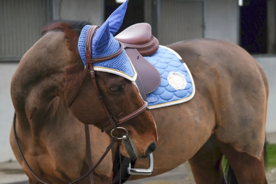 EQUITHÈME Denim Fliegenohrehauben