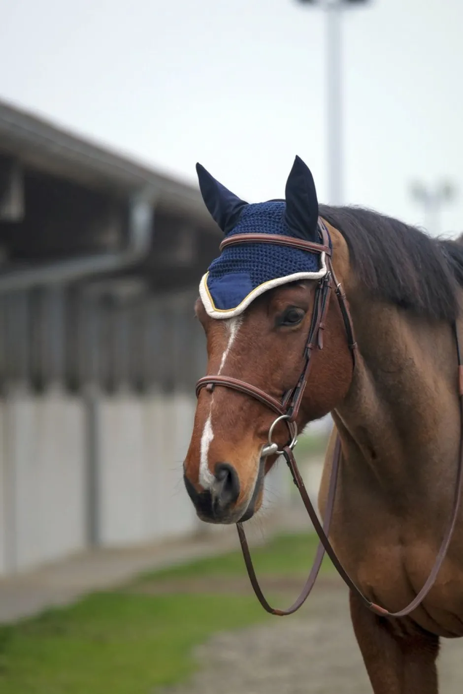 EQUITHÈME Denim Fliegenohrehauben