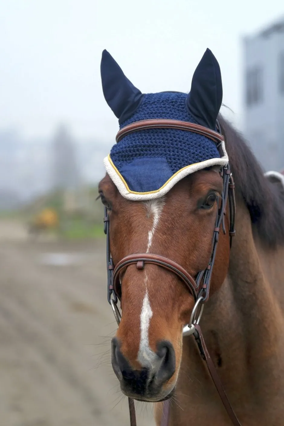 EQUITHÈME Denim Fliegenohrehauben