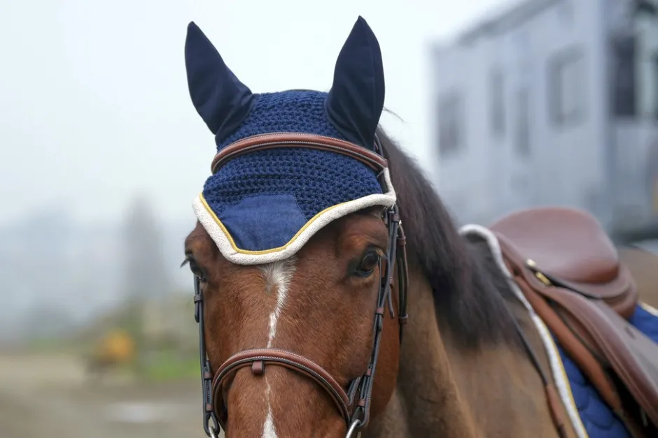 EQUITHÈME Denim Fliegenohrehauben