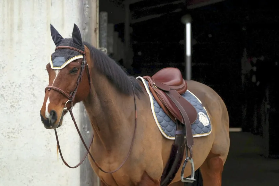 EQUITHÈME Denim Schabrake
