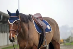 EQUITHÈME Denim Schabrake