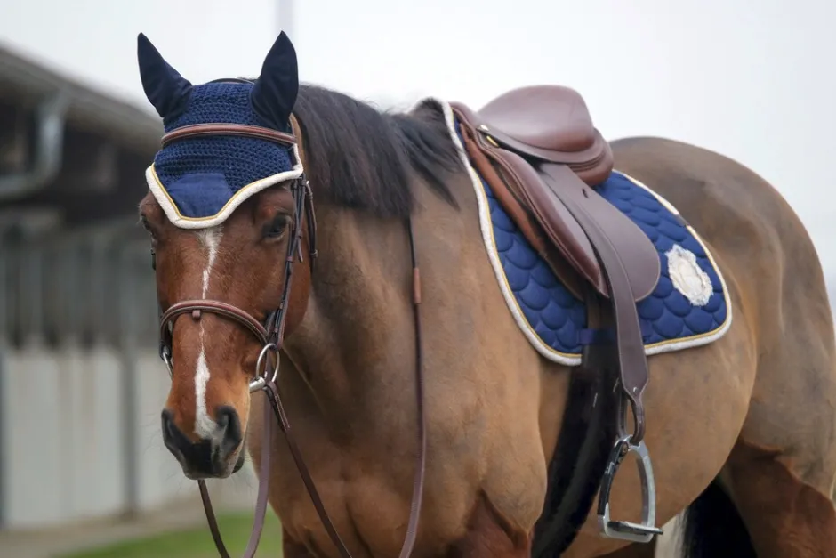 EQUITHÈME Denim Schabrake