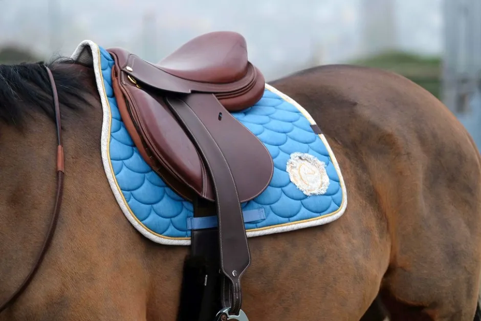 EQUITHÈME Denim Schabrake