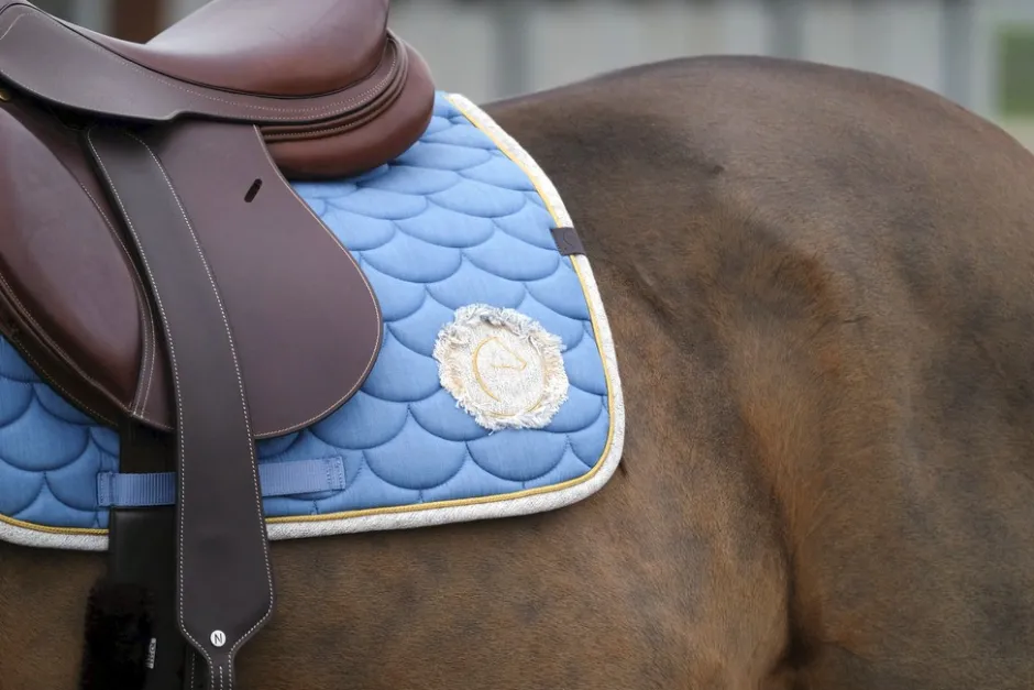 EQUITHÈME Denim Schabrake
