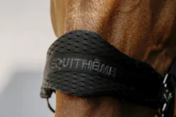 EQUITHÈME - 3D Mesh - Nylonhalfter
