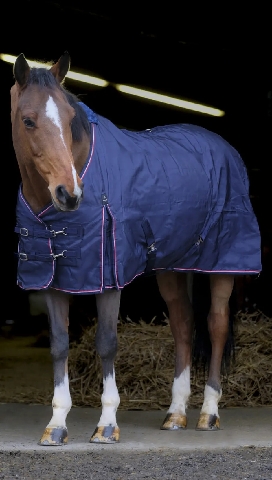 EQUITHÈME 840D Stalldecke